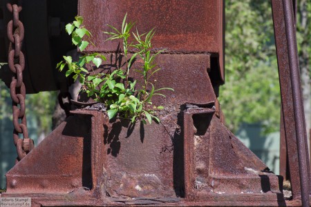 Industrie und Natur vereint...