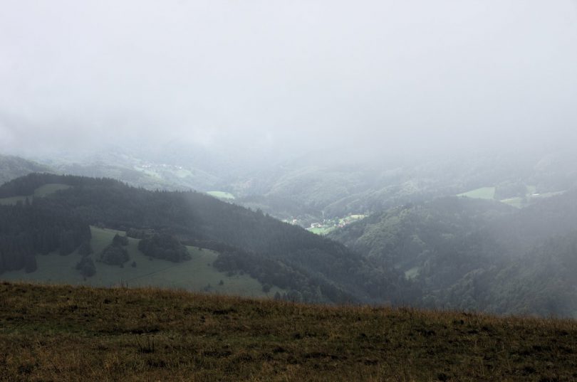 Im Schwarzwald