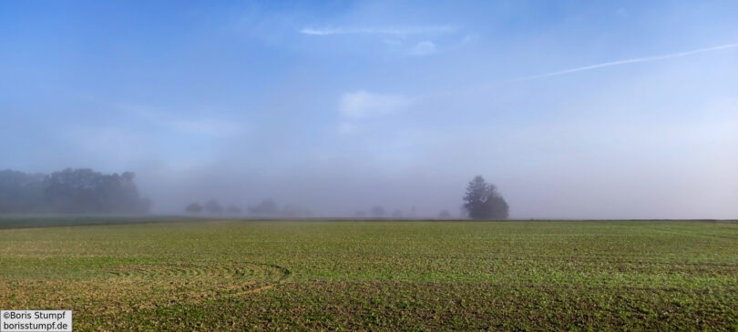 Landstraße bei Bad Camberg im Nebel