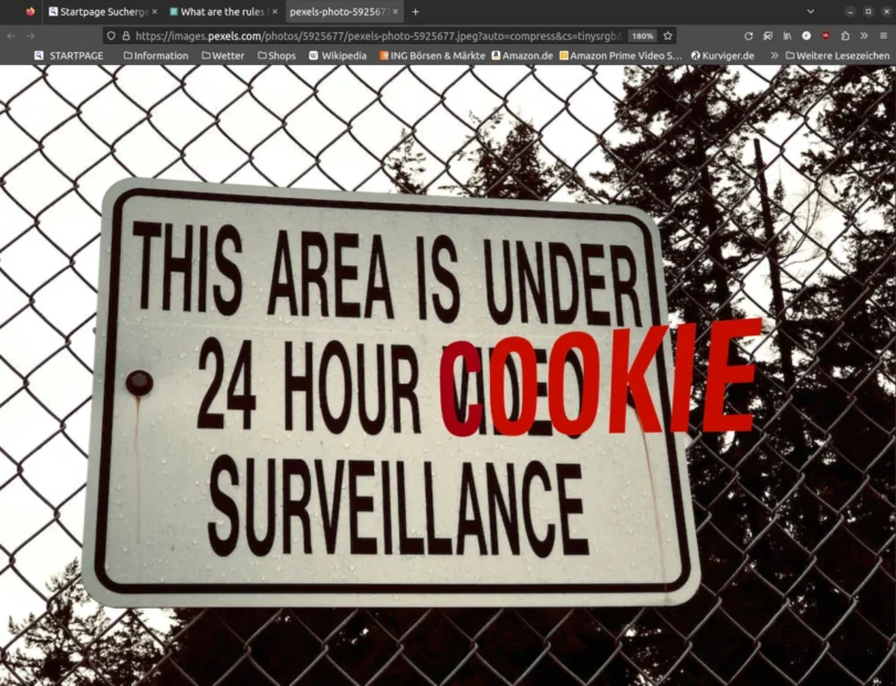 Surveillance, Tracking, Bildmontage Pexel-Image und Browser-Screenshot