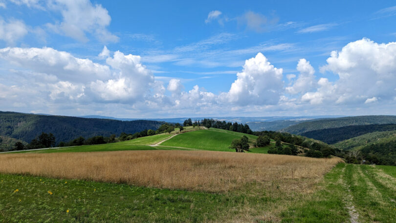 Rheingauer Taunushügel