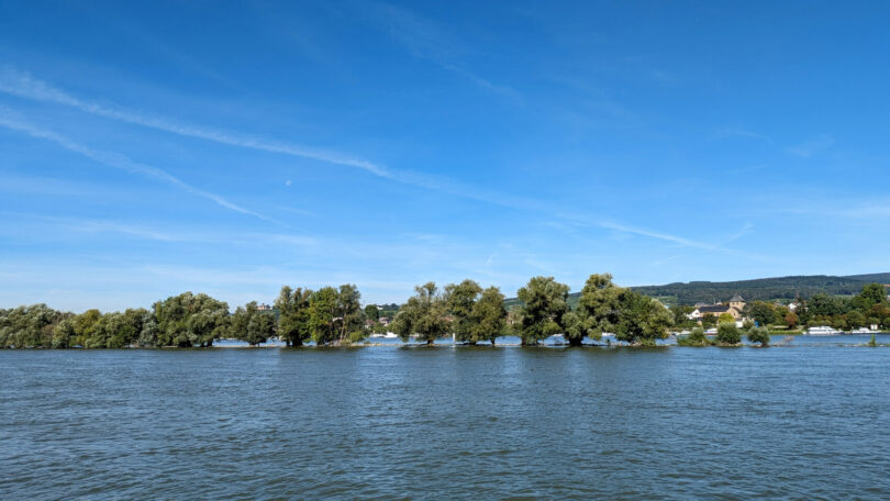 Auf der Rheinfähre Ingelheim - Östrich-Winkel, Bild 4