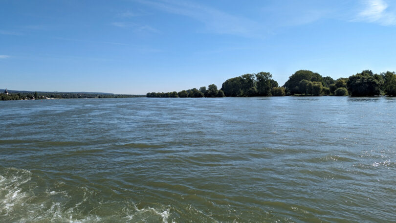 Auf der Rheinfähre Ingelheim - Östrich-Winkel, Bild 7